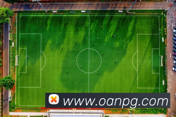 pg电子APP 高清赛事图